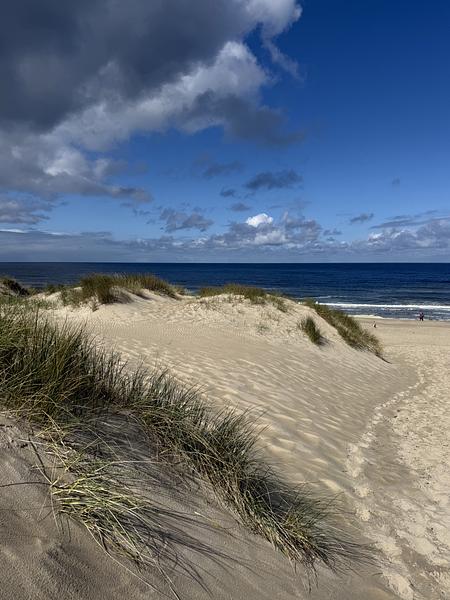 EuroParcs Texel in De Cocksdorp, Noord-Holland – Foto 4