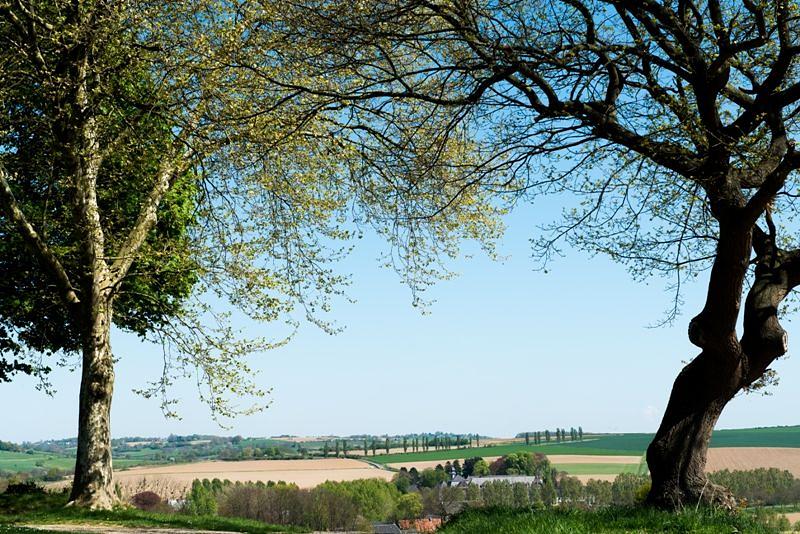 EuroParcs Gulperberg in Gulpen, Limburg – Foto 5