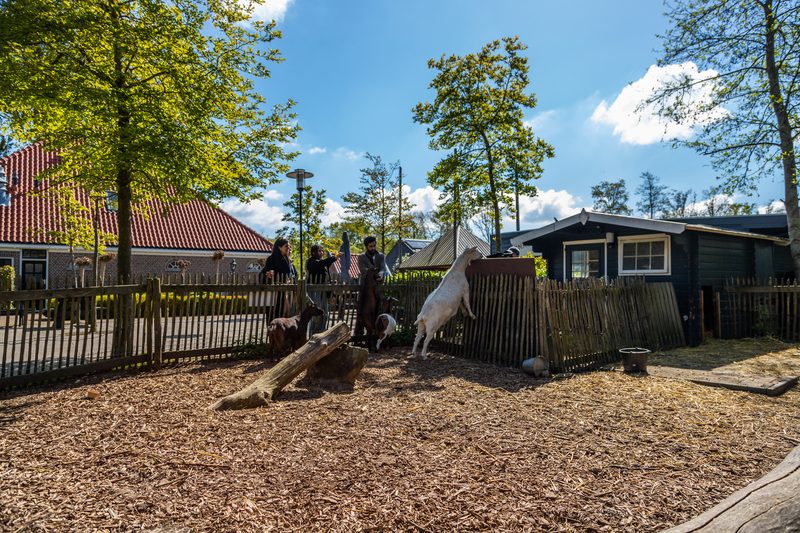 EuroParcs Buitenhuizen in Velsen-Zuid, Noord-Holland – Foto 3
