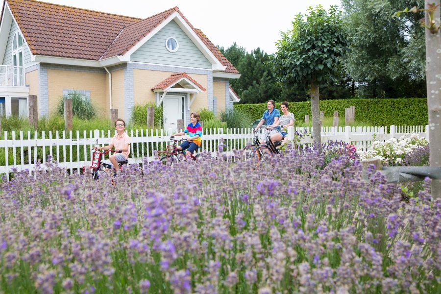 Landal Noordzee Résidence De Banjaard in Kamperland, Zeeland – Foto 2