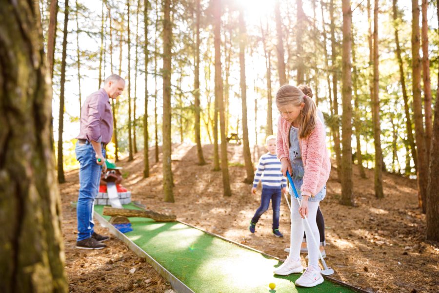 Landal Ferienpark Dwergter Sand in Molbergen, Oldenburger Münsterland – Foto 4