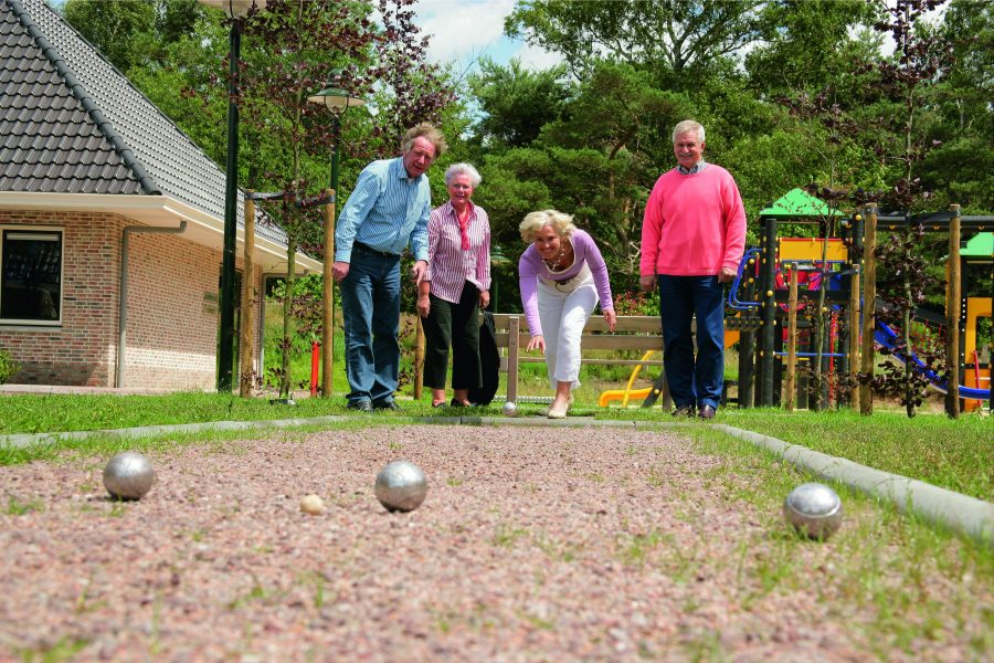 Landal Landgoed De Hellendoornse Berg in Haarle, Overijssel – Foto 2