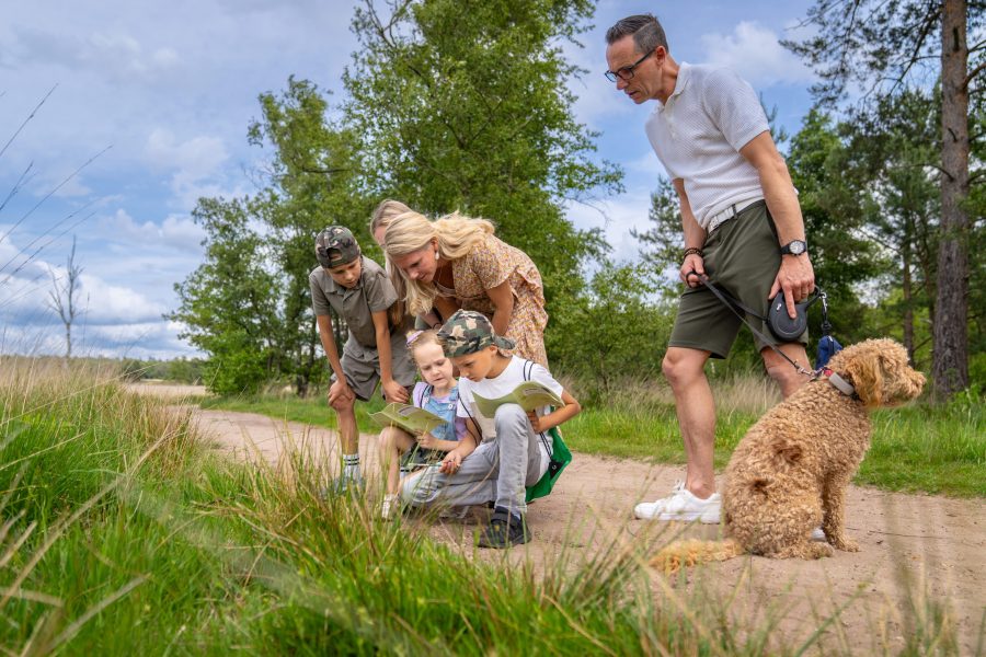 Landal Bungalowpark Hoenderloo in Hoenderloo, Gelderland – Foto 3