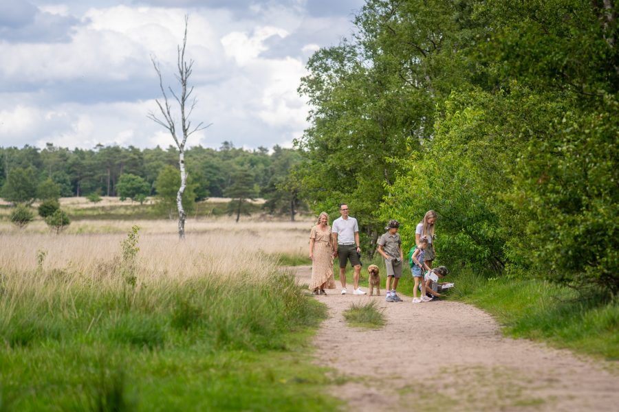 Landal Bungalowpark Hoenderloo in Hoenderloo, Gelderland – Foto 2
