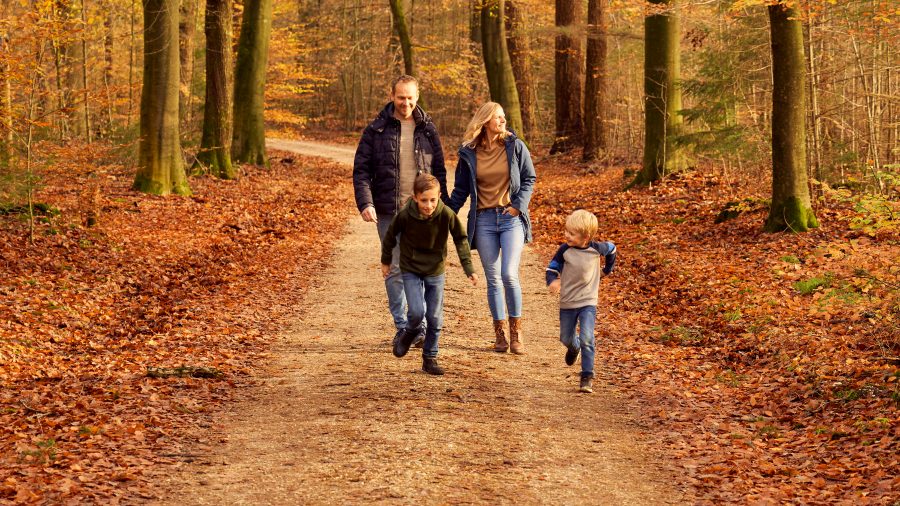 Landal Ferienpark Heideheuvel