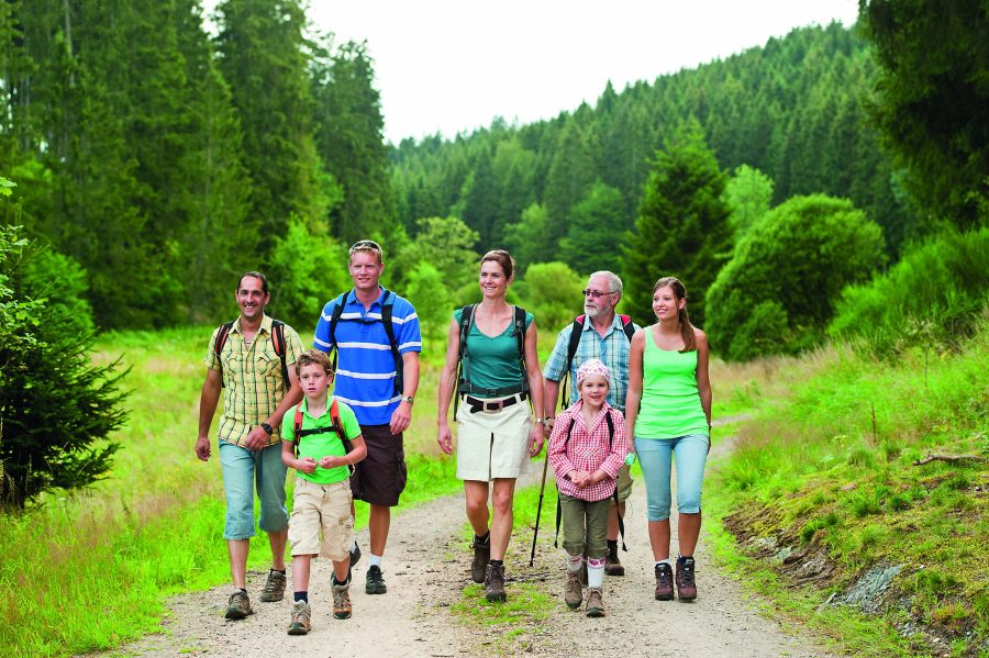 Landal Ferienpark Hochwald in Kell am See, Saar/Hunsrück – Foto 2
