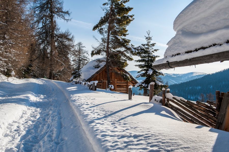 Landal Alpen-Chalets Katschberg in Rennweg, Kärnten – Foto 4