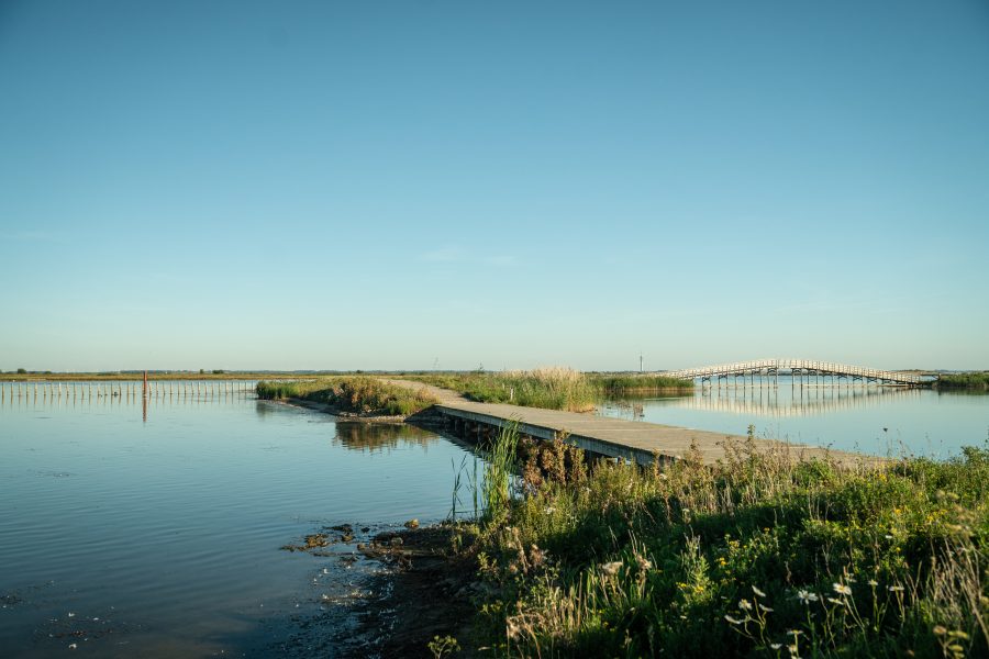 Landal Insel-Ferienhäuser Marker Wadden in Lelystad, Flevoland – Foto 3