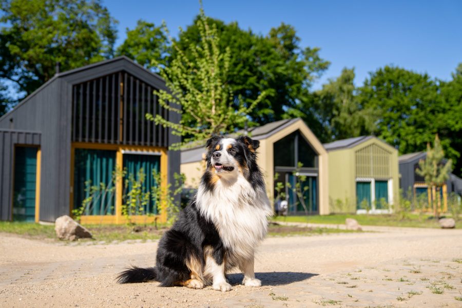 Landal Ferienpark Olde Kottink