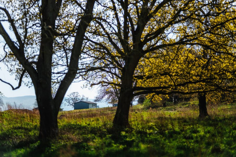 Landal Bryn Morfydd in Denbighshire, North Wales – Foto 3