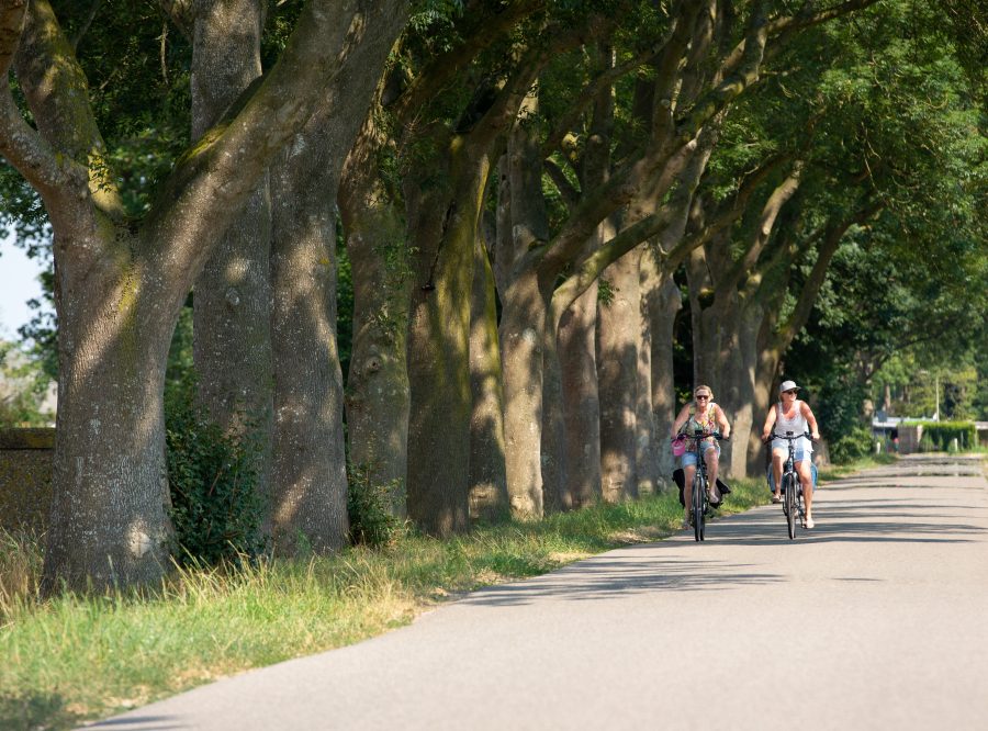 Landal Ferienhäuser Waterstaete Ossenzijl in Ossenzijl, Overijssel – Foto 3