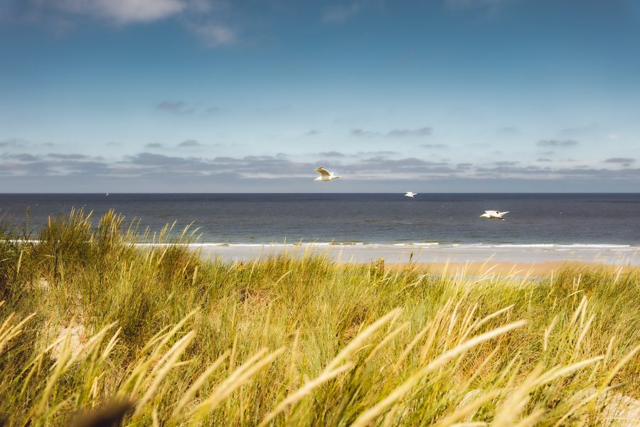 Landal Kustpark Texel in De Koog, Wattenmeer – Foto 4