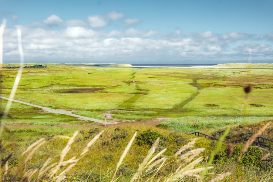 Landal Kustpark Texel in De Koog, Wattenmeer – Foto 2