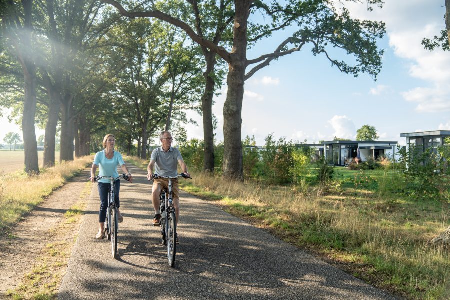 Landal Ferienpark De Vlinderhoeve in Kring van Dorth, Gelderland – Foto 5