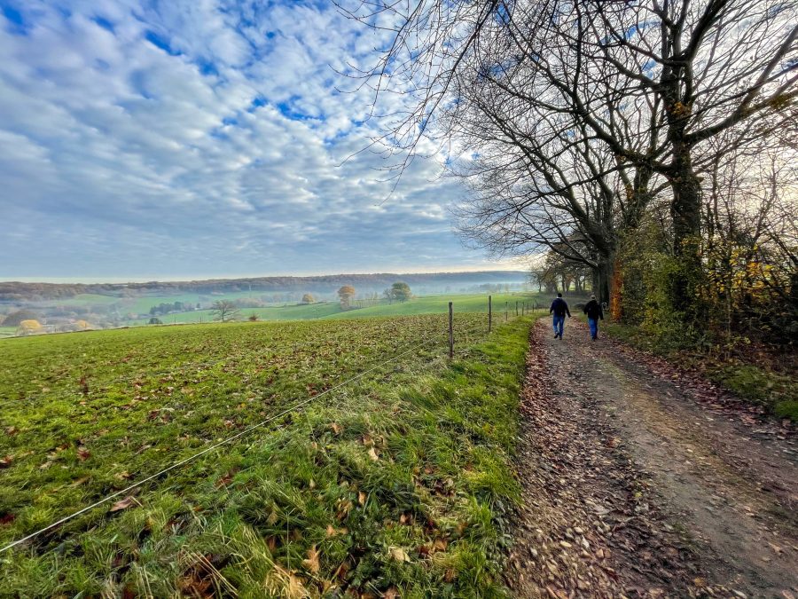 Landal Ferienpark De Waufsberg in Noorbeek, Limburg – Foto 5